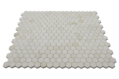 Corinthian Fossil Honeycomb Honed