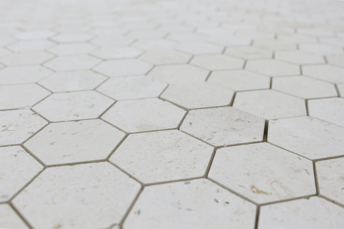 Corinthian Fossil Honeycomb Honed