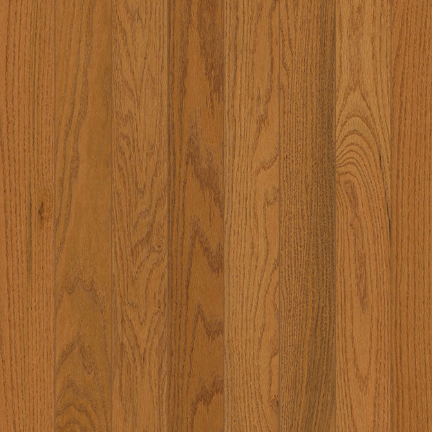 Bruce Royal Ginger 3.25″